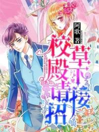 校草殿下请接招